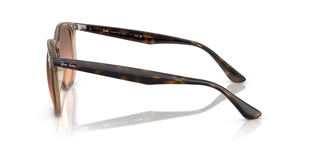 Ray-Ban RB4306 678846