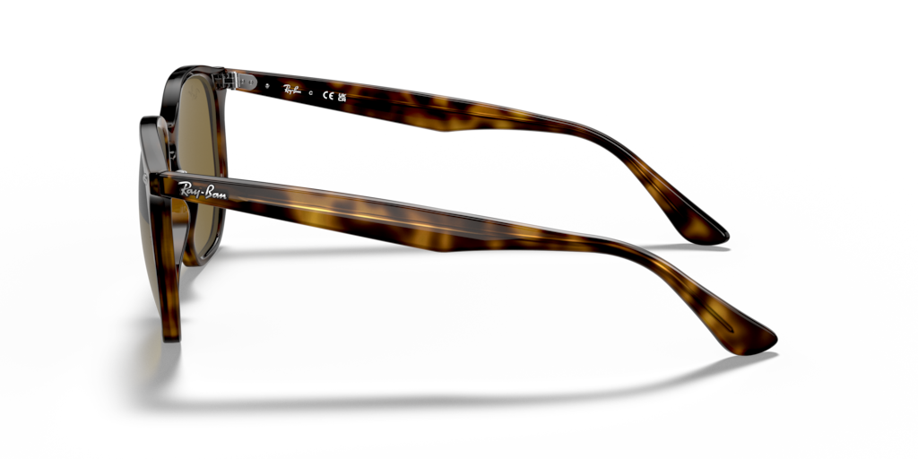 Ray-Ban RB4306 710/73
