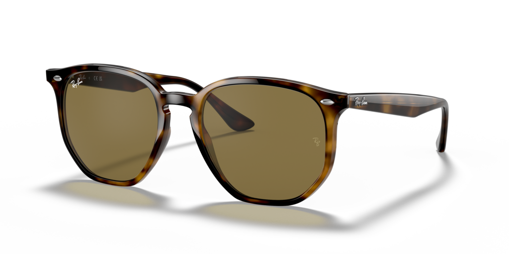 Ray-Ban RB4306