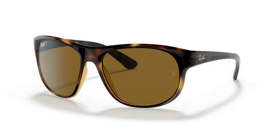 Ray-Ban RB4351