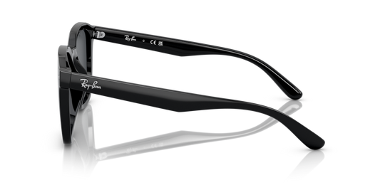 Ray-Ban RB4392D 601/87