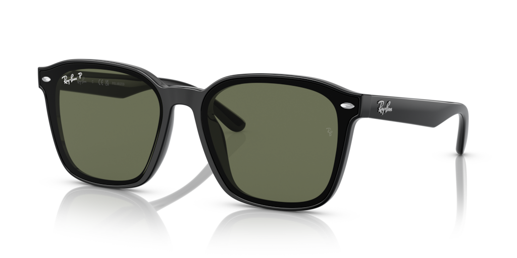 Ray-Ban RB4392D