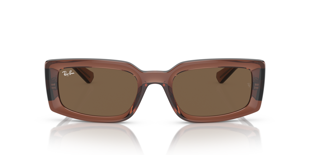 Ray Ban RB4395 667873 54 Güneş Gözlükleri