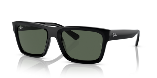 Ray-Ban RB4396
