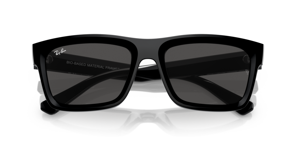 Ray-Ban RB4457D 667787