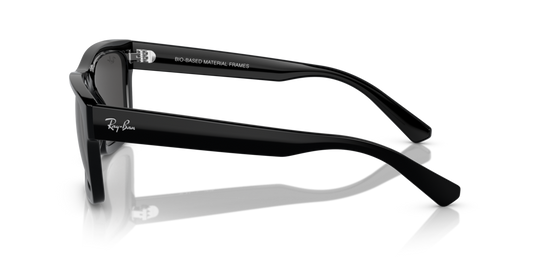 Ray-Ban RB4457D 667787