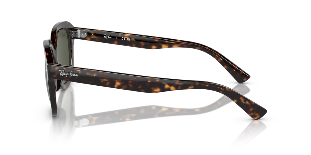 Ray-Ban RB4398 902/31