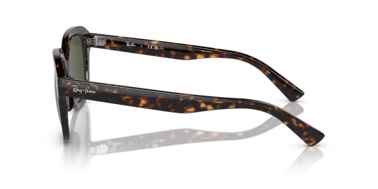 Ray-Ban RB4398 902/31