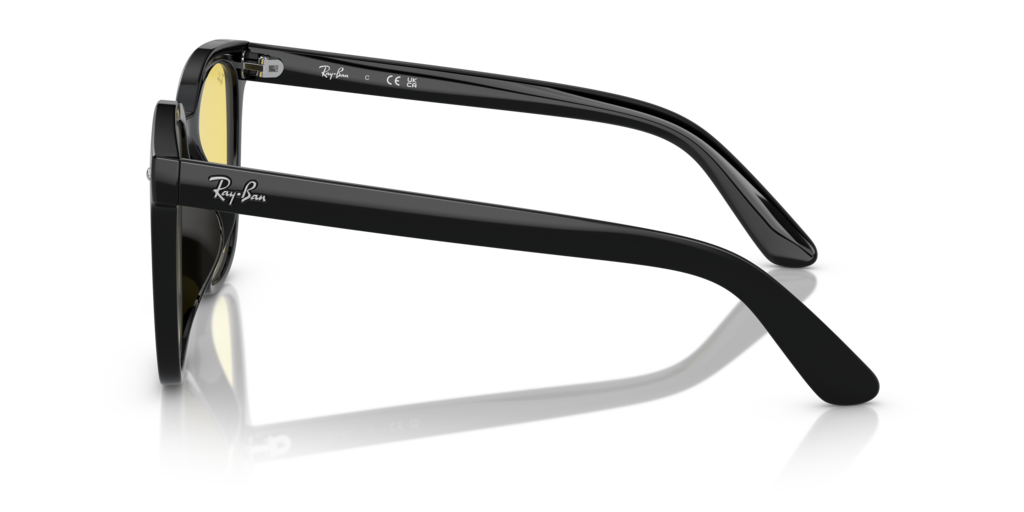 Ray-Ban RB4401D 601/85