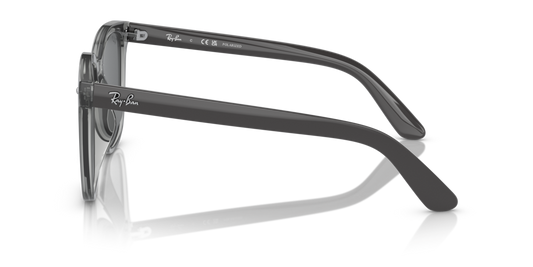 Ray-Ban RB4401D 659981