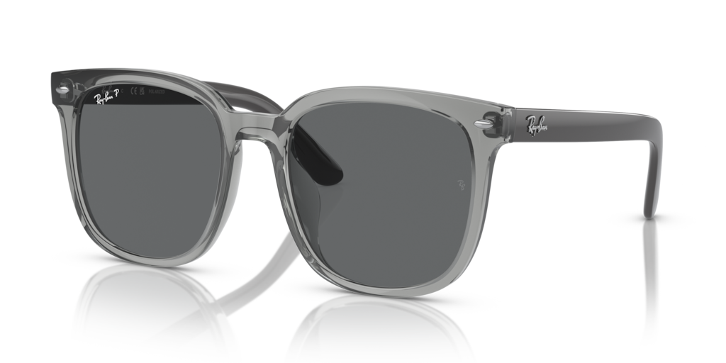 Ray-Ban RB4401D