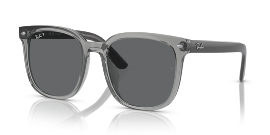 Ray-Ban RB4401D