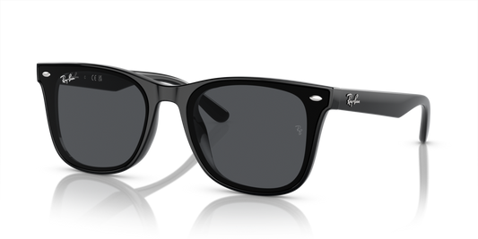 Ray-Ban RB4420