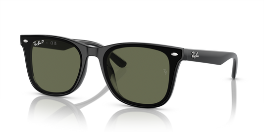 Ray-Ban RB4420
