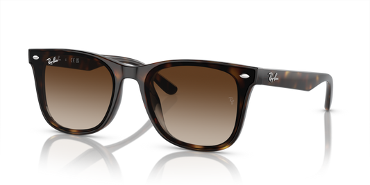 Ray-Ban RB4420