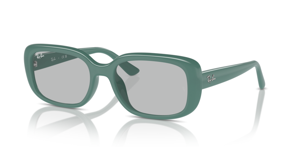 Ray-Ban RB4421D