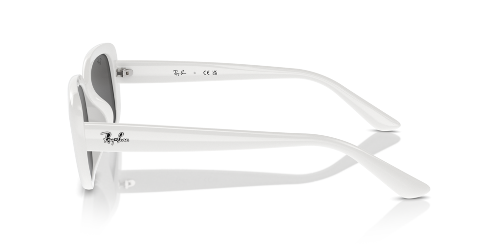 Ray Ban RB4421D 677287 56 Güneş Gözlükleri