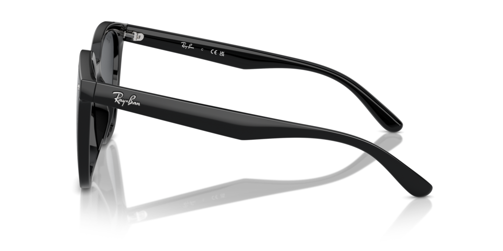 Ray Ban RB4423D 601/87 66 Güneş Gözlükleri