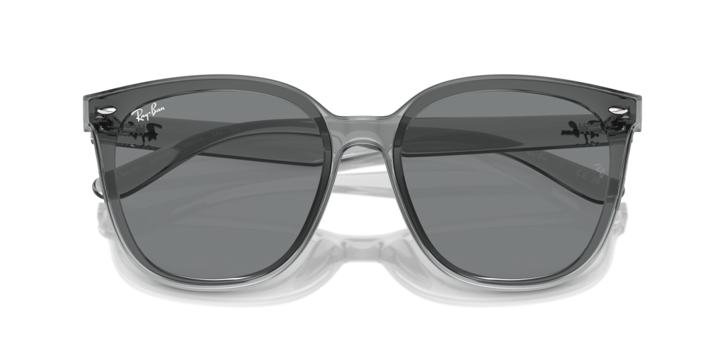 Ray Ban RB4423D 645087 66 Güneş Gözlükleri