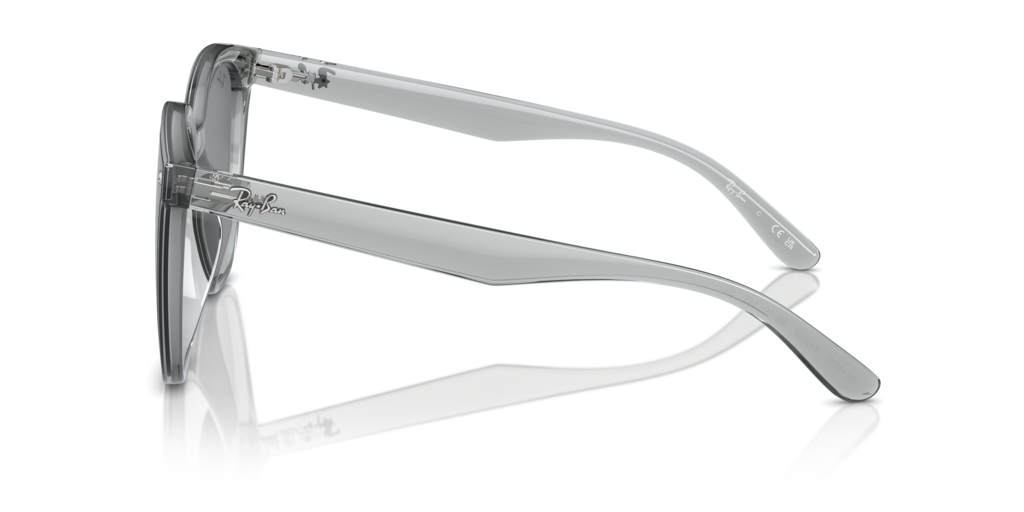 Ray Ban RB4423D 645087 66 Güneş Gözlükleri