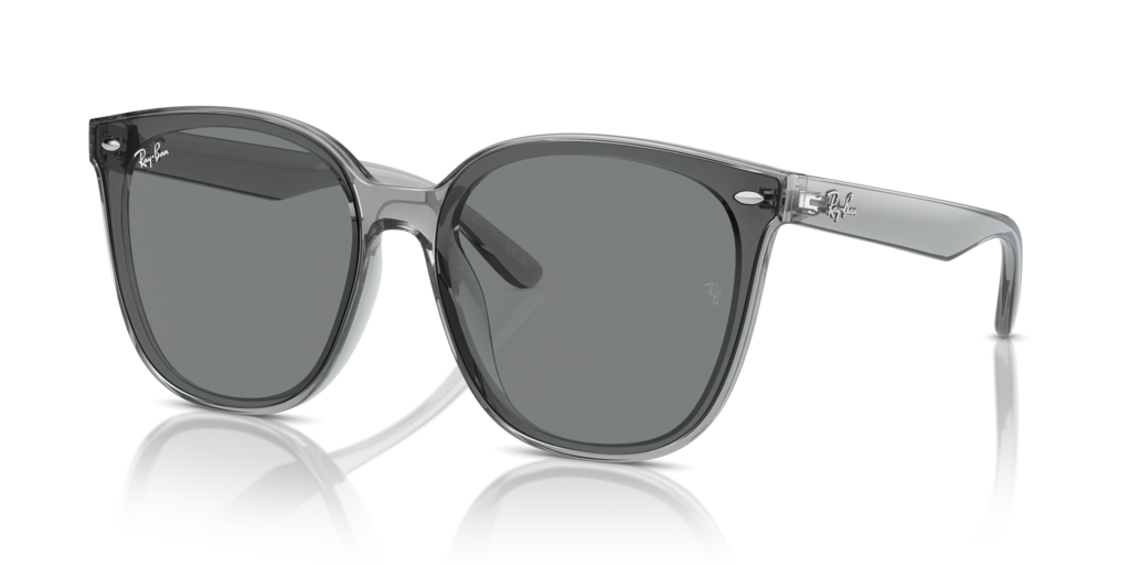 Ray Ban RB4423D 645087 66 Güneş Gözlükleri
