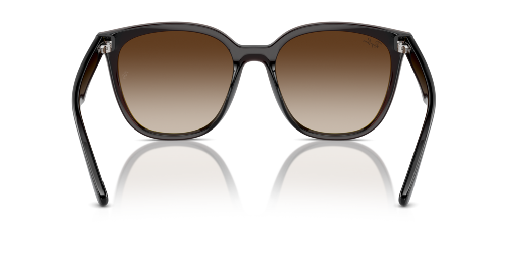 Ray Ban RB4423D 714/13 66 Güneş Gözlükleri