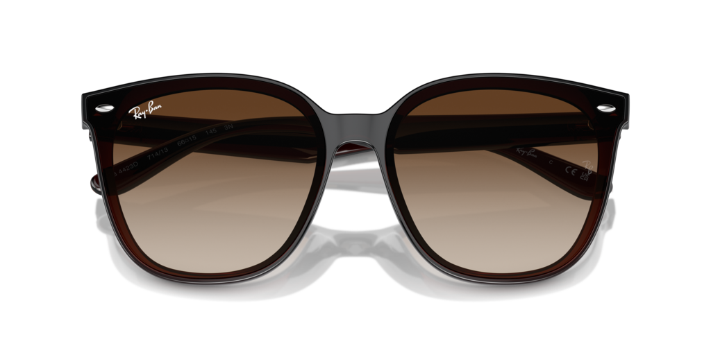Ray Ban RB4423D 714/13 66 Güneş Gözlükleri