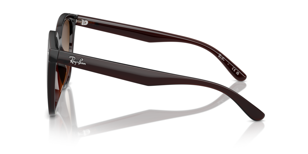 Ray Ban RB4423D 714/13 66 Güneş Gözlükleri