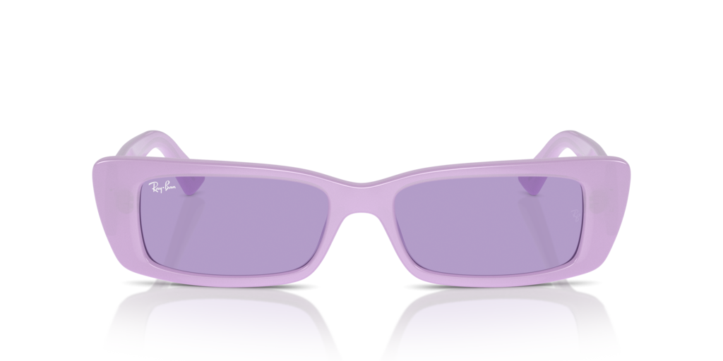 Ray Ban RB4425 67581A 54 Güneş Gözlükleri