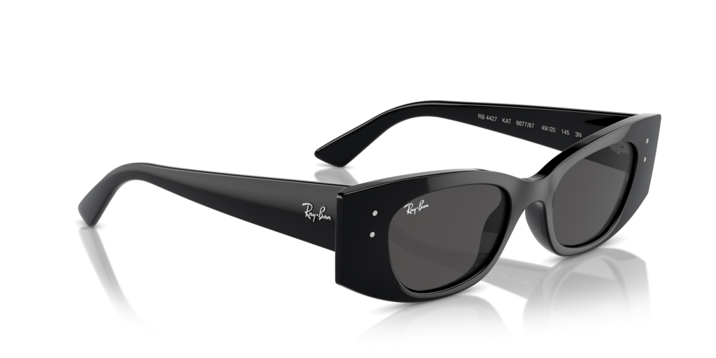 Ray-Ban RB4427 667787
