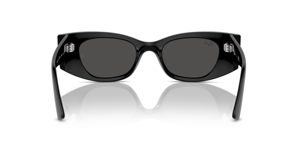 Ray-Ban RB4427 667787