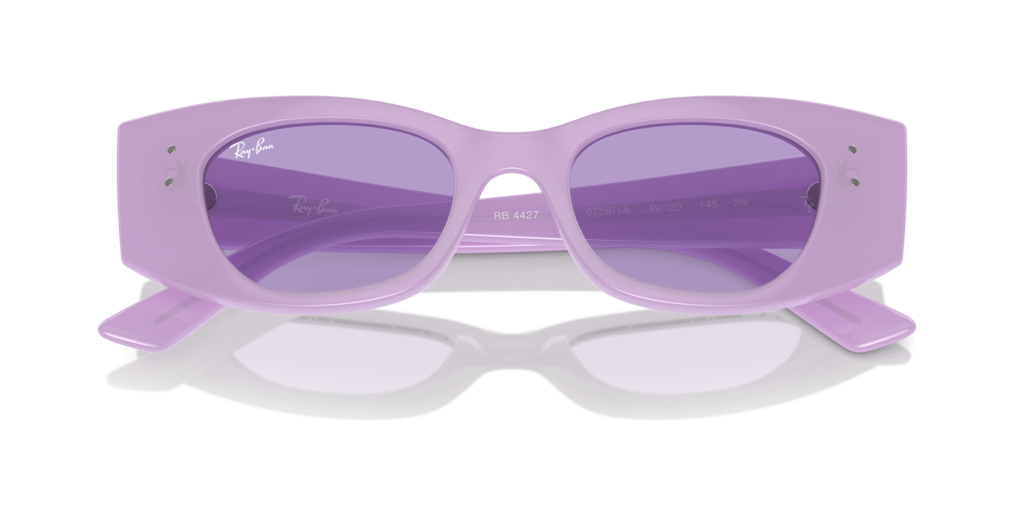 Ray Ban RB4427 67581A 49 Güneş Gözlükleri