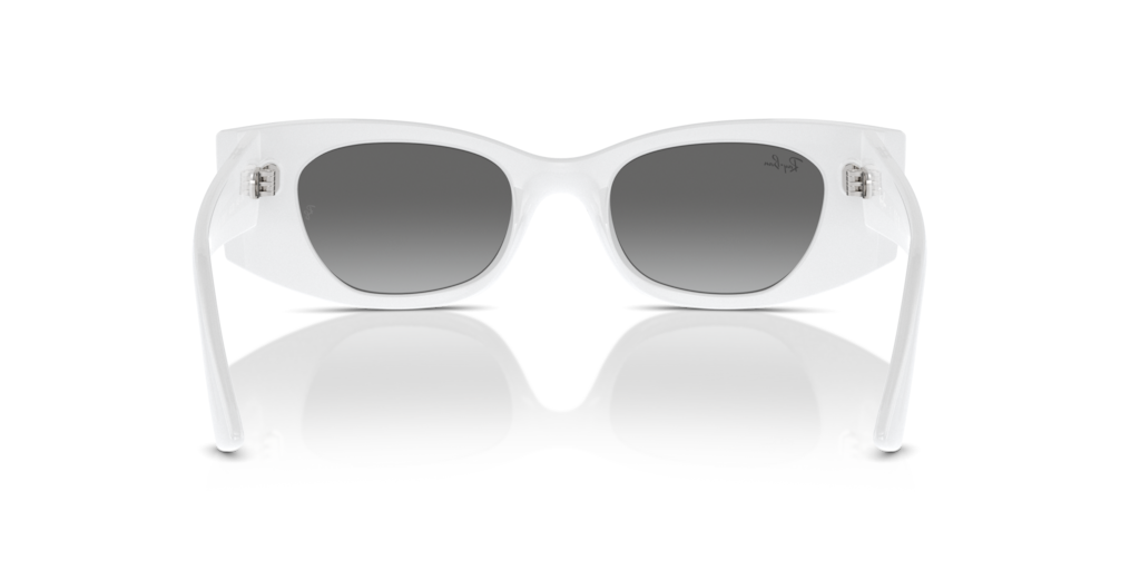 Ray Ban RB4427 675911 49 Güneş Gözlükleri