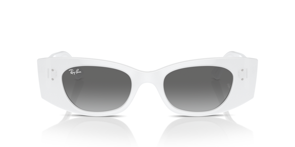 Ray Ban RB4427 675911 49 Güneş Gözlükleri