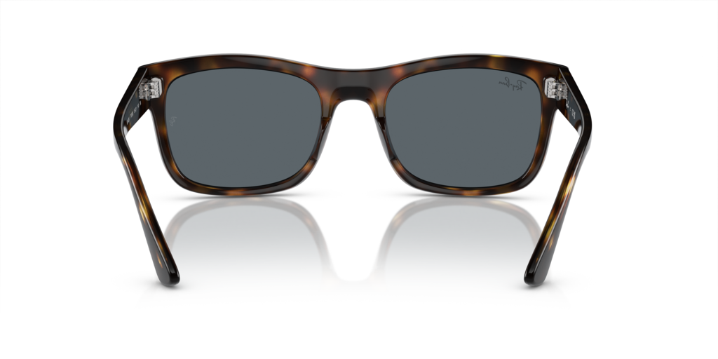 Ray-Ban RB4428 710/R5