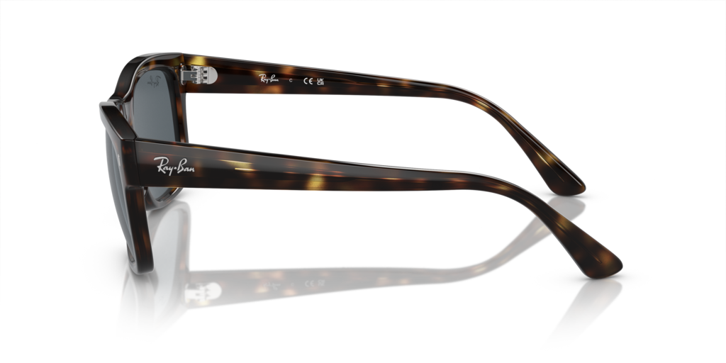 Ray-Ban RB4428 710/R5