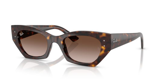 Ray-Ban RB4430