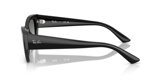 Ray-Ban RB4430 667711