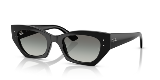 Ray-Ban RB4430