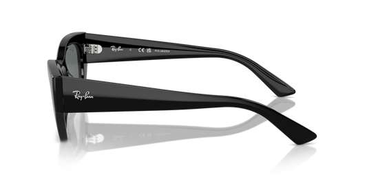 Ray-Ban RB4430 667781