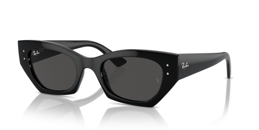 Ray-Ban RB4430