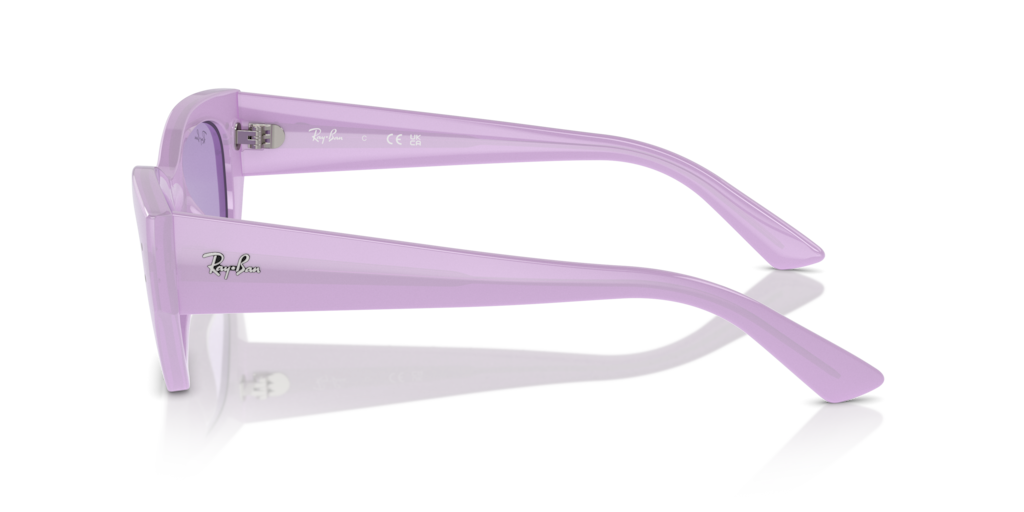 Ray Ban RB4430 67581A Güneş Gözlükleri