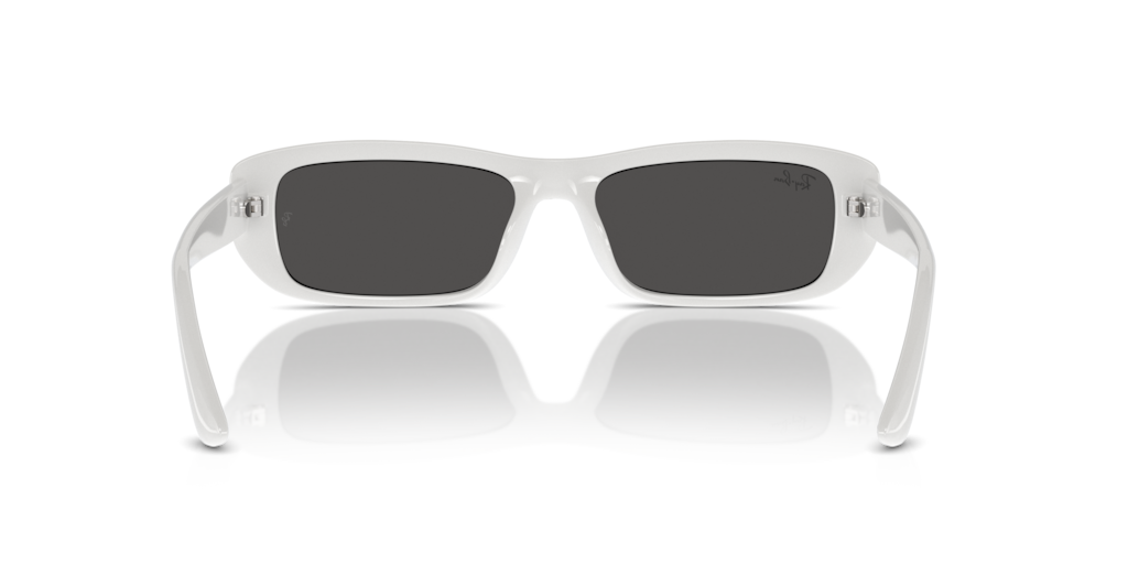 Ray-Ban RB4436D 677287