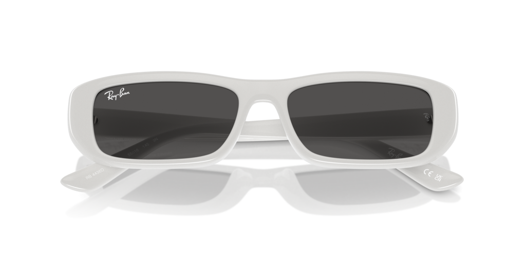 Ray-Ban RB4436D 677287