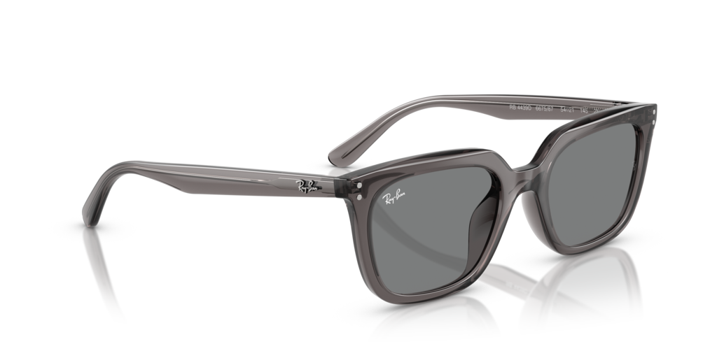 Ray-Ban RB4439D 667587