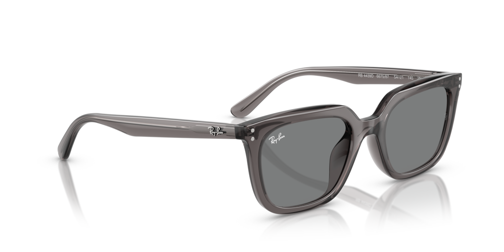 Ray-Ban RB4439D 667587
