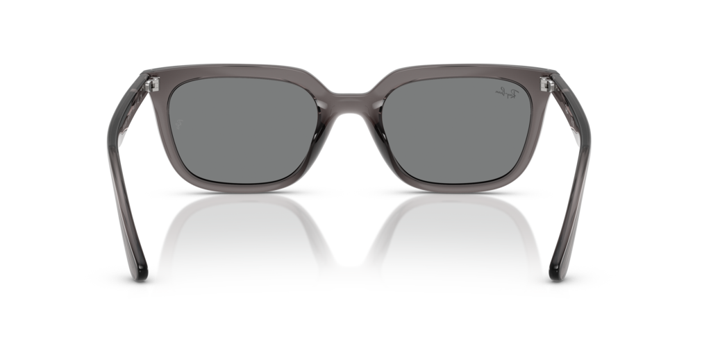 Ray-Ban RB4439D 667587