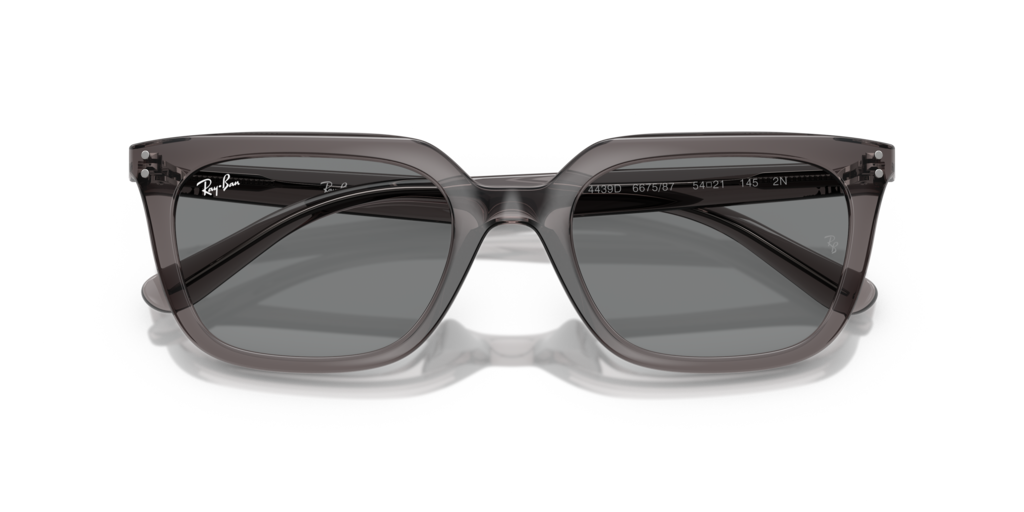 Ray-Ban RB4439D 667587