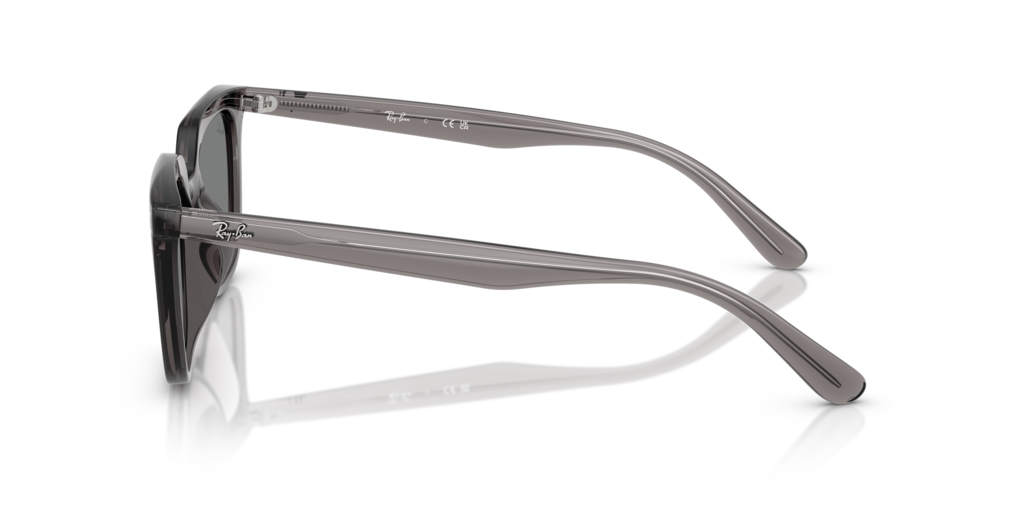Ray-Ban RB4439D 667587