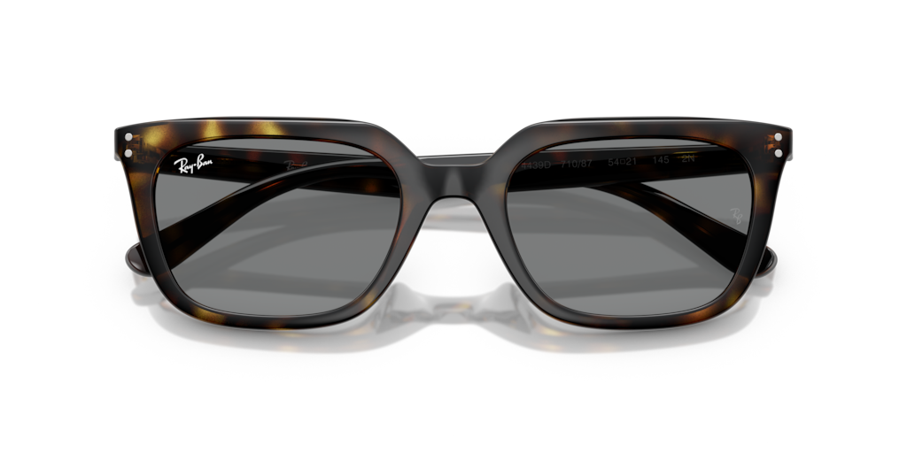 Ray-Ban RB4439D 710/87